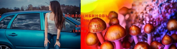 твердый Михайловск