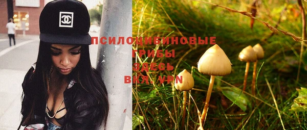 кокс Михайлов