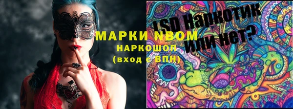 кокс Михайлов