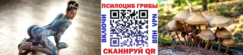 что такое   Шелехов  Псилоцибиновые грибы Psilocybine cubensis 