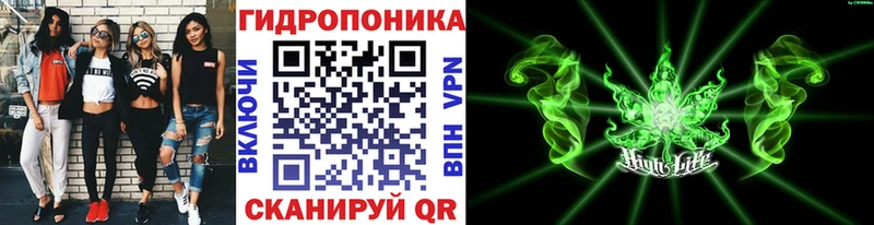 Бошки марихуана VHQ  Шелехов 